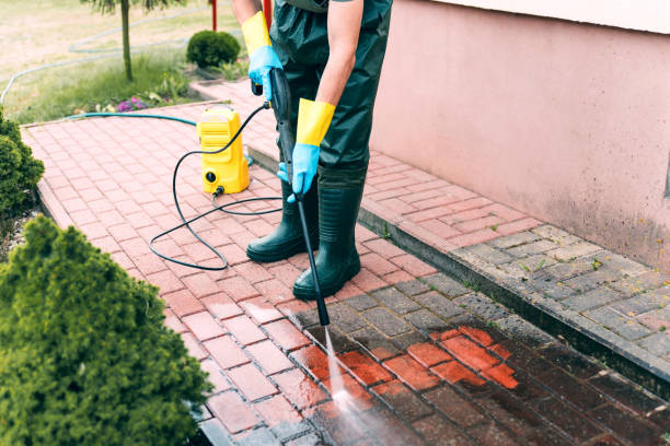 Roof Power Washing Services in Falling Waters, WV